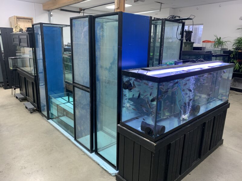 L’entrepôt de l’aquarium usagé